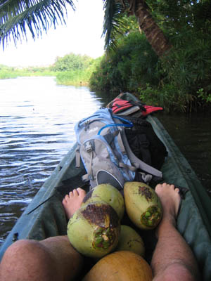 coconut_haul.jpg