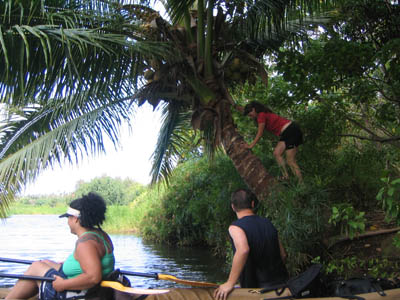 coconut_hunters.jpg