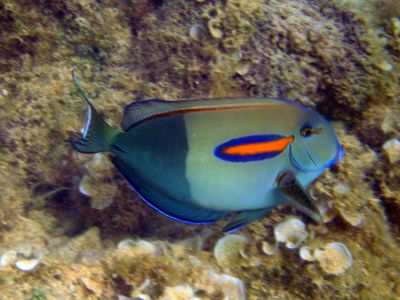 img_5237.jpg